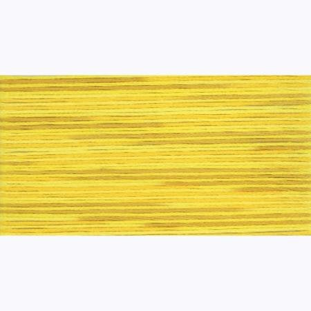 Cosmo Seasons Embroidery Floss #5009