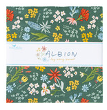 RB Albion 10 Inch Stacker 42 Pcs.