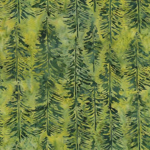 IB Evergreen Green Ivy