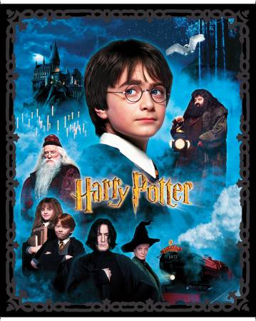 BE Harry Potter Panel Multi