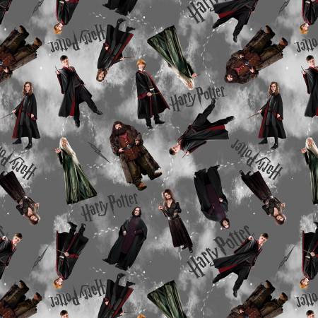 BE Harry Potter Characters Gray