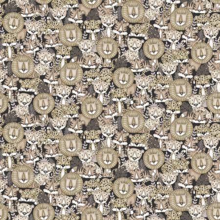 HG Multi Packed Kitties-Big Kitties