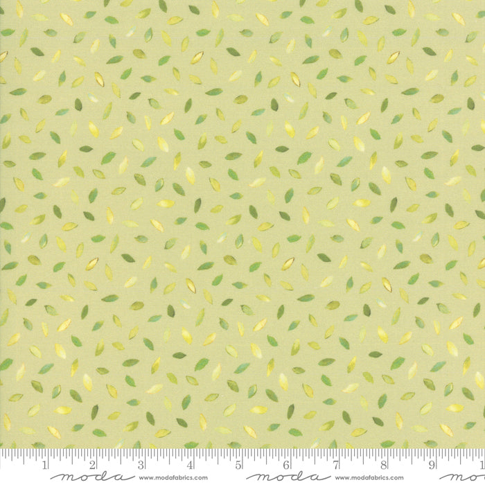 MO Flights Of Fancy 33464 15 Leaf