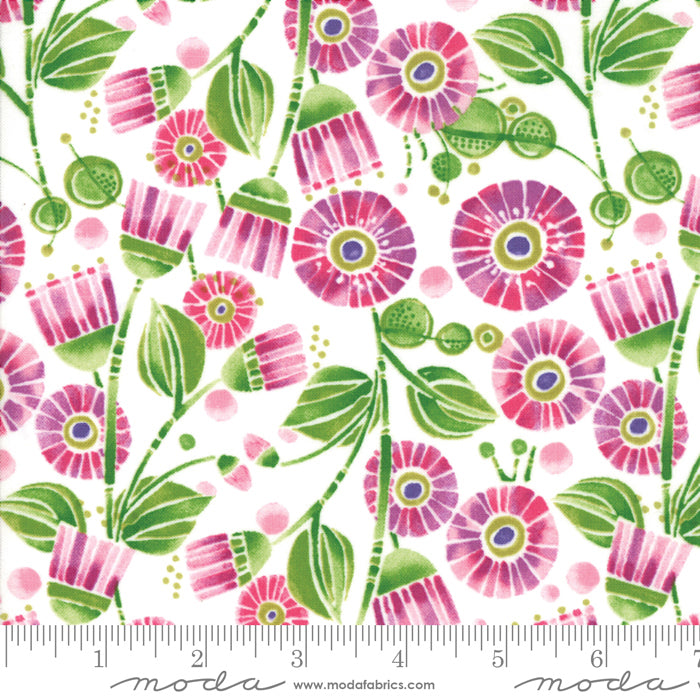 MO Sweet Pea Lily 48641 11