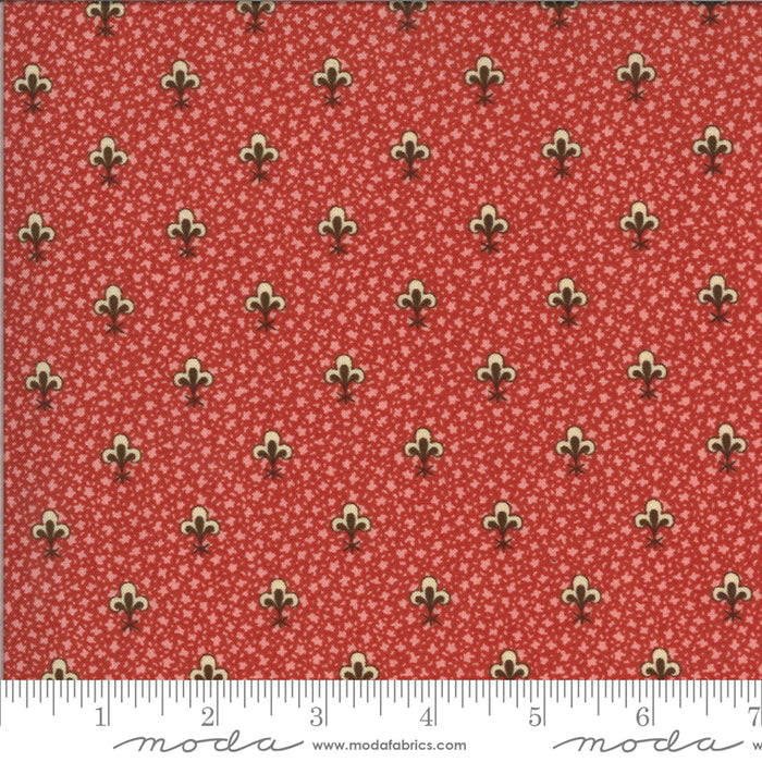 MO Elinores Endeavor 31613 12 Primrose