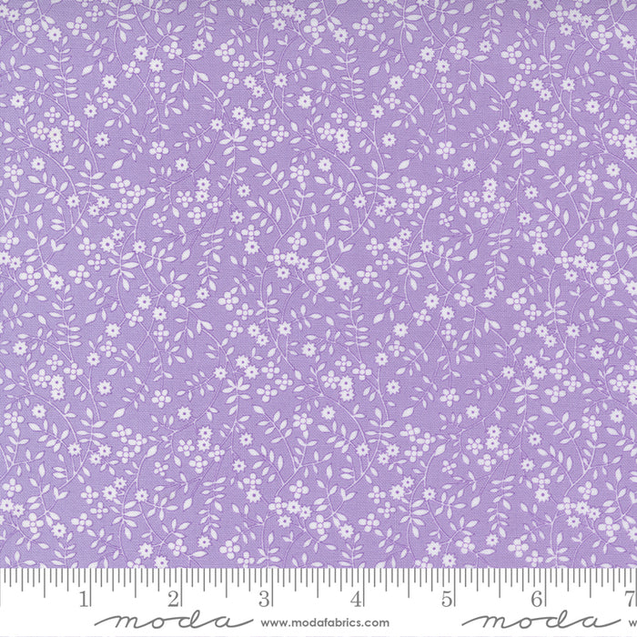 MO 30s Playtime Lilac