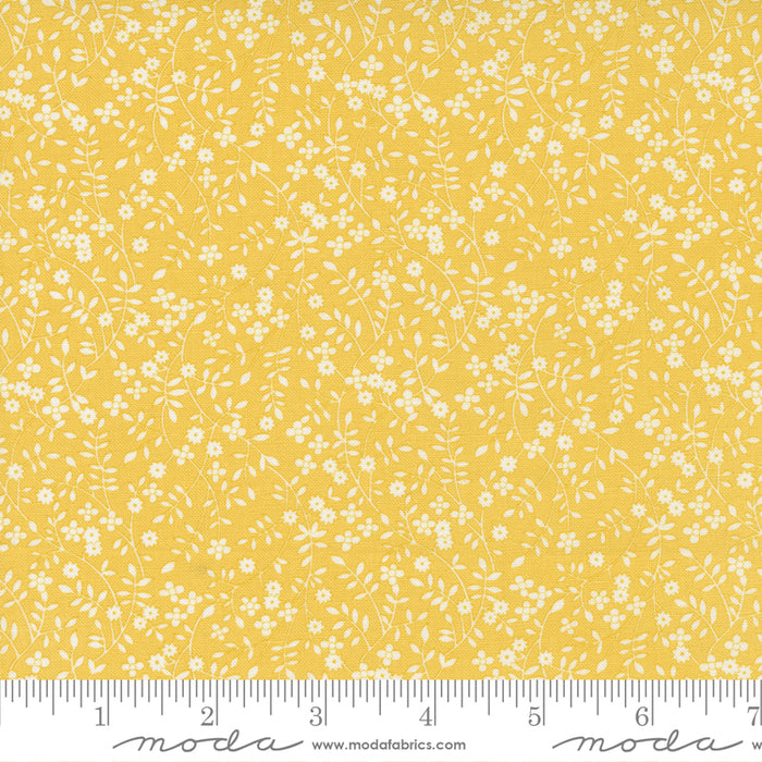MO 30s Playtime Yellow