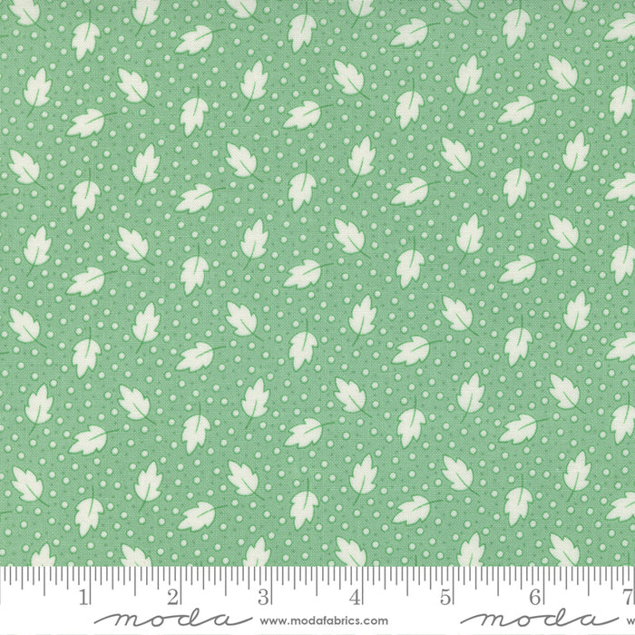MO 30s Playtime Aloe