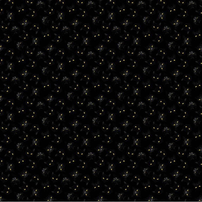 NC Black Cat Capers 24120 99 Black Multi