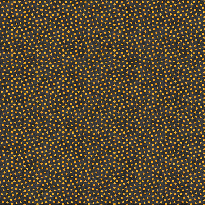 NC Black Cat Capers 24125 99 Black Orange