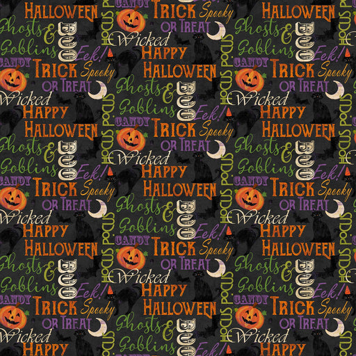 NC Festive Felines 24133 99 Black Multi