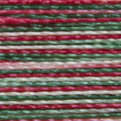 Isacord Multi 9864 Holly Berry Wreath