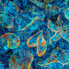 QT OCEANA - Seashells