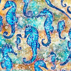 QT OCEANA - Seahorse