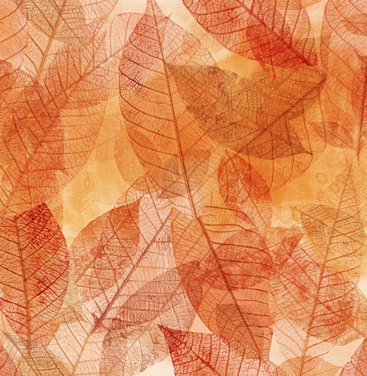 ITB Reflections of Autumn Leaves 30RA-1