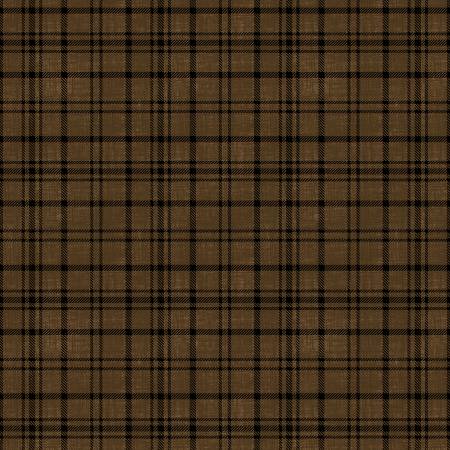 WI Timberland Trails Brown Plaid Texture
