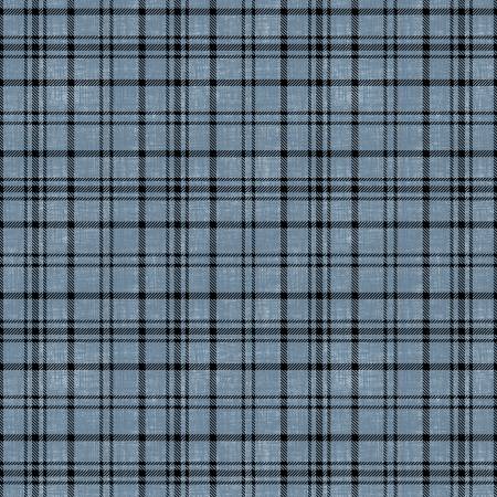 WI Timberland Trails Blue Plaid Texture