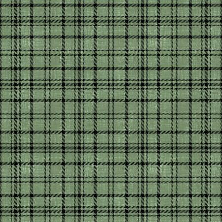 WI Timberland Trails Green Plaid Texture