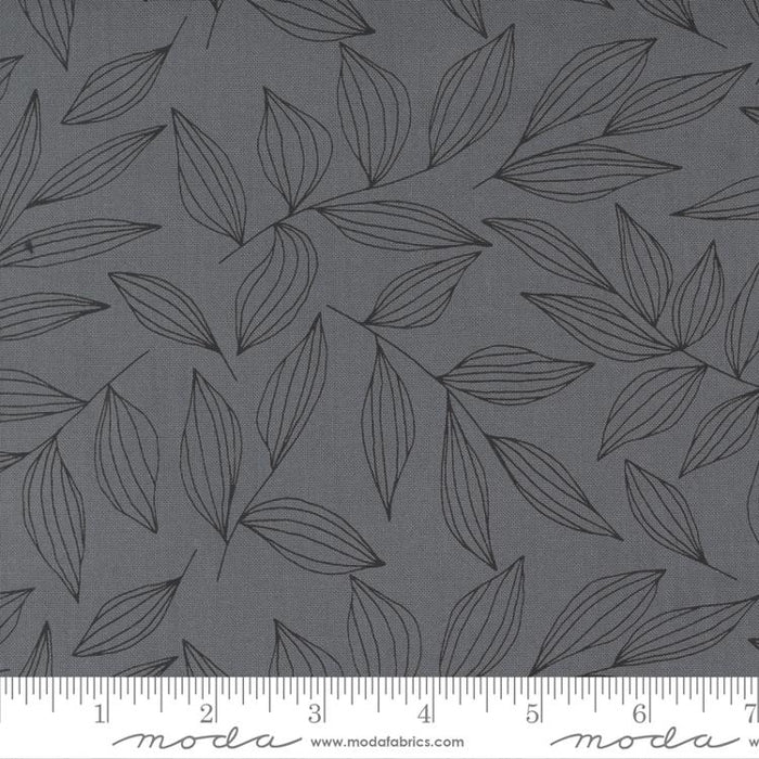 MO Create Graphite