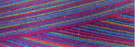 Cotton Quilting Thread 3-ply 40wt 3000yds Variegated Fad 5