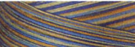 Cotton Quilting Thread 3-ply 40wt 3000yds Variegated French Country