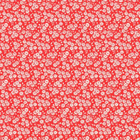 WD Red Ditsy Daisy