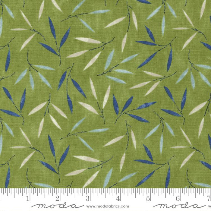 MO Collage Leaf 16953 14