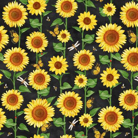 AF Sunshine Daydream Black Sunflower Field