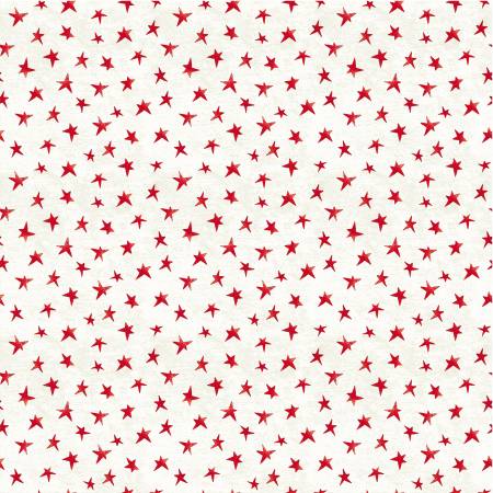 WD Ivory Christmas Star- A Very Terri Christmas