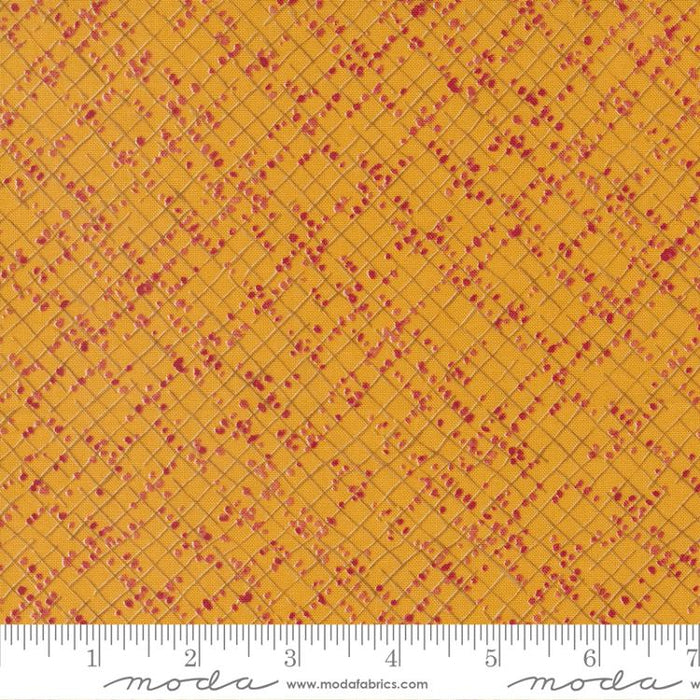 MO Wild Blossoms Honeycomb