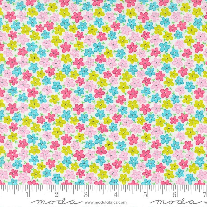MO Sweet & Plenty Sugar 22454 11