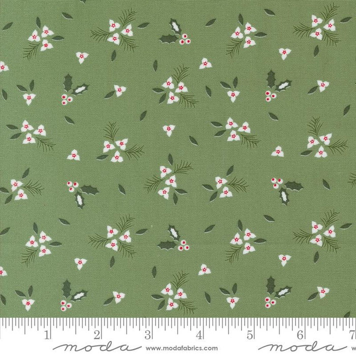 MO Starberry Green 29182 13