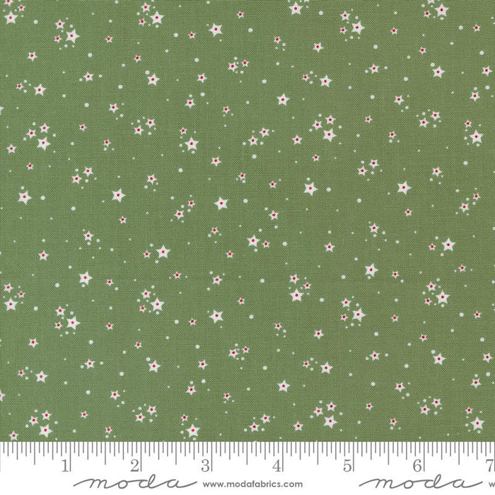 MO Starberry Green 29187 23