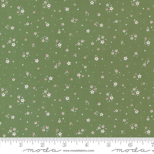 MO Starberry Green 29187 23