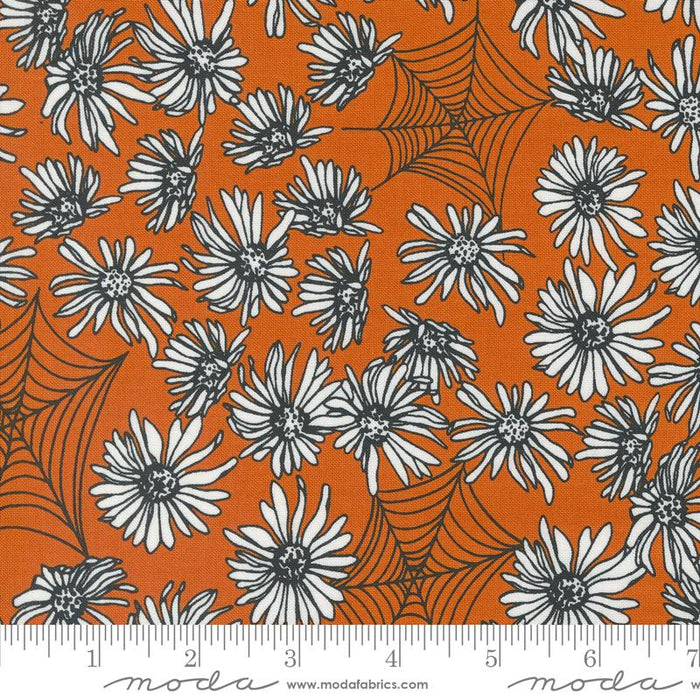 MO Noir Flower Web Pumpkin 11541 24