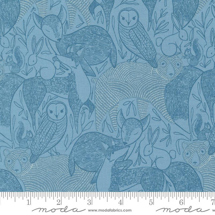 MO Woodland Wonder Sky 48390-16