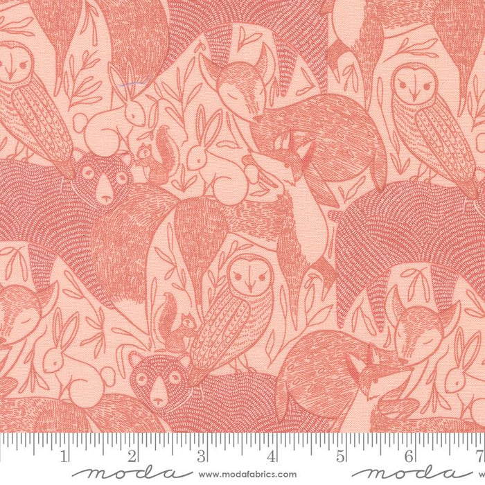 MO Woodland Wonder Blush 48390-18