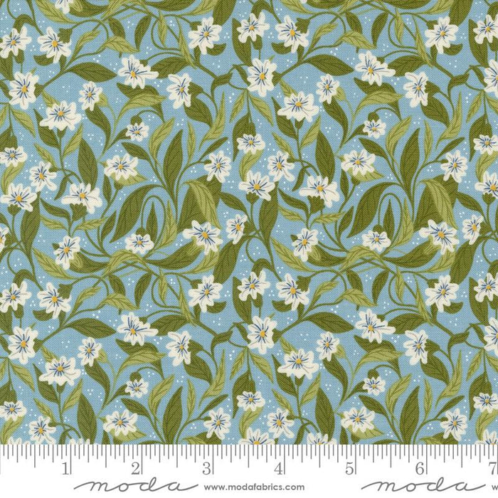 MO Woodland Wonder Sky 48393-16