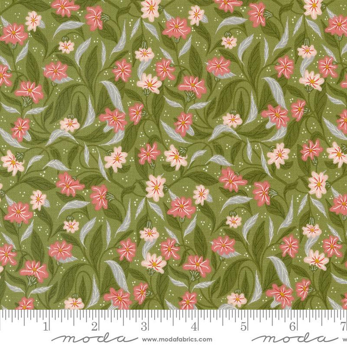 MO Woodland Wonder Fern 48393 -19