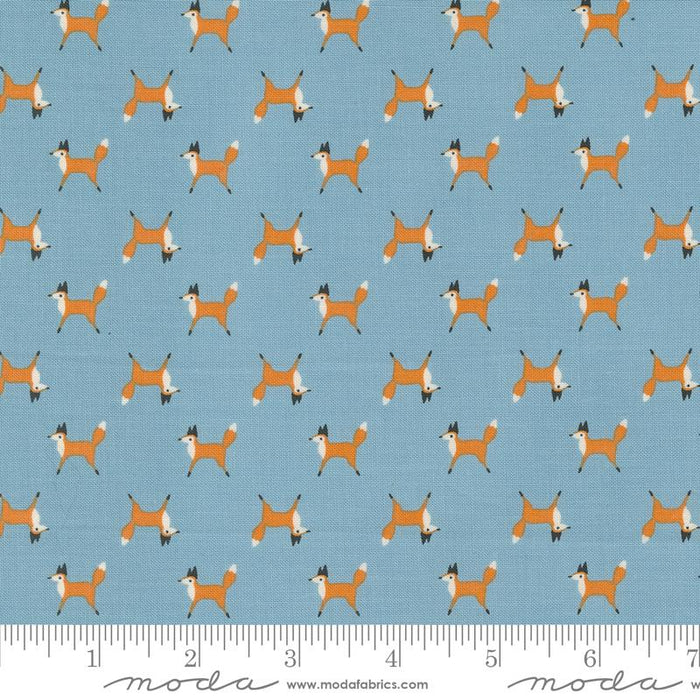 MO Woodland Wonder Sky 48394-16