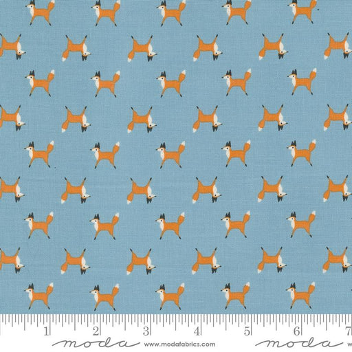MO Woodland Wonder Sky 48394-16