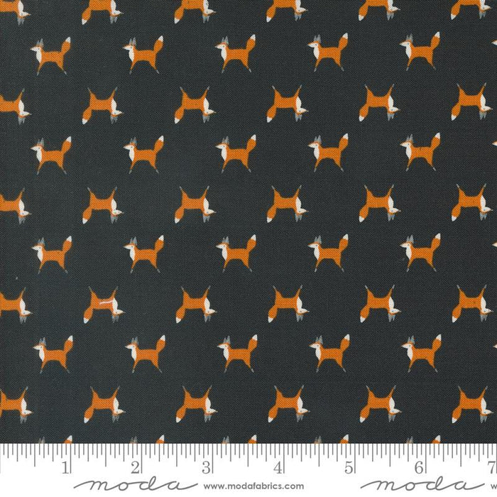 MO Woodland Wonder Midnight 48394-21