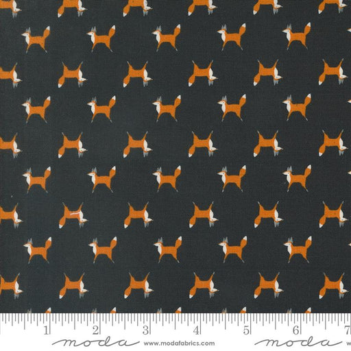 MO Woodland Wonder Midnight 48394-21