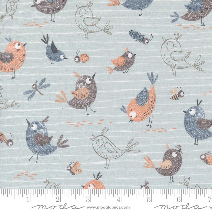 MO Chirp Friends Sky 39030-19