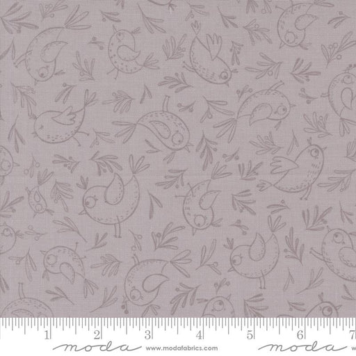 MO Chirp Trace a Bird Dove 39034-15