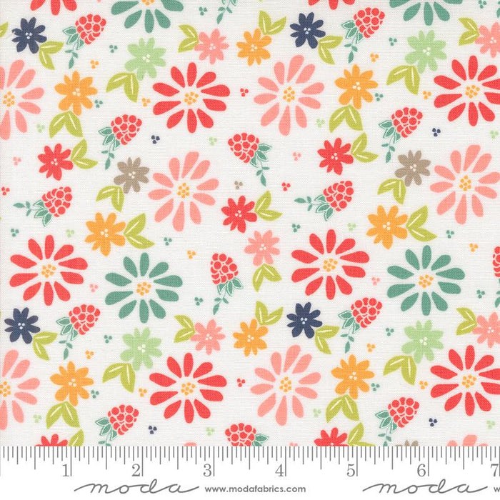 MO Raspberry Summer Cloud 37690-11