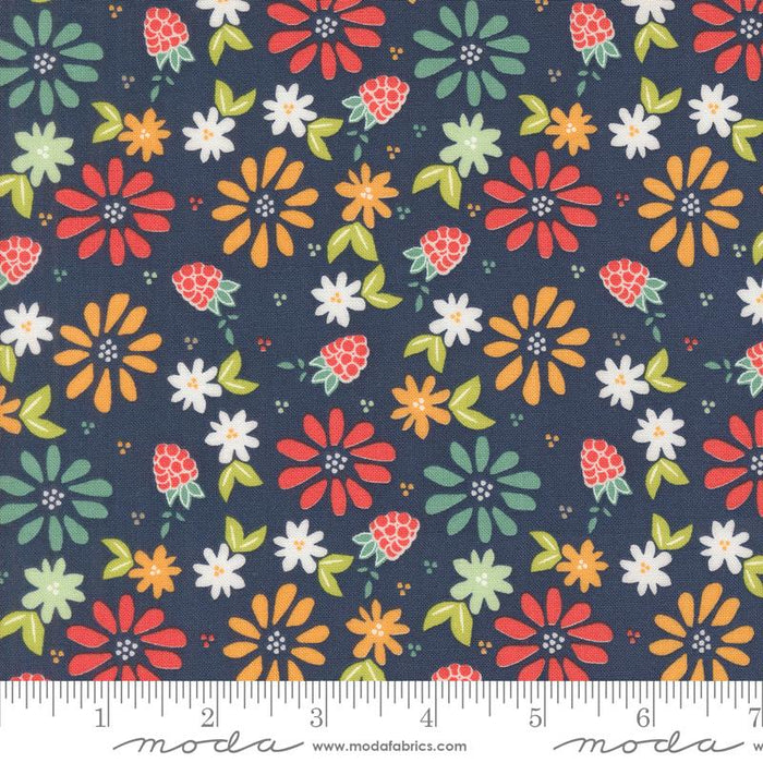MO Raspberry Summer Blueberry 37690-20