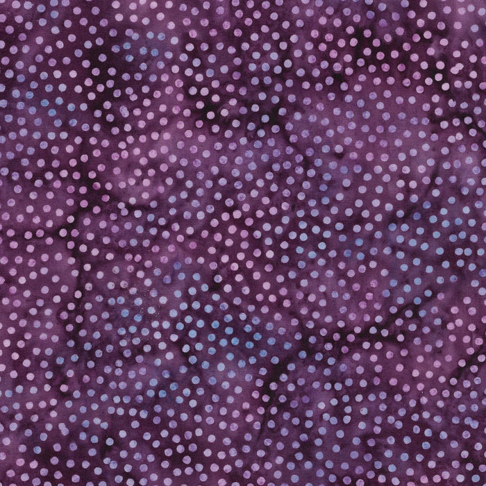 IB Spots Grape Tweet