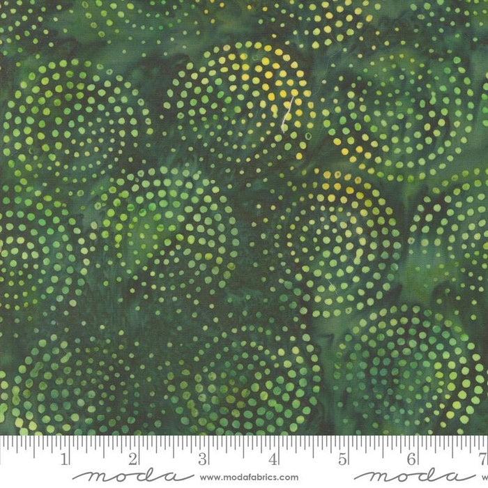 MO Echo Batiks Pine Swirl