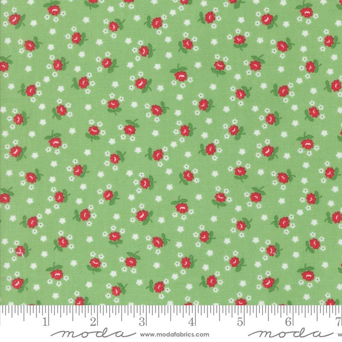 MO Summertime Green 55328-17